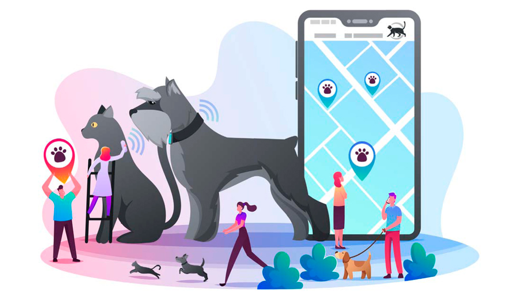 Merecen la pena los collares GPS para perros? Lo que debes saber antes de  comprar