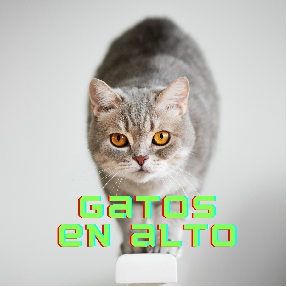 Catslife_PetsLife_Gatos.en.alto_etología.felina