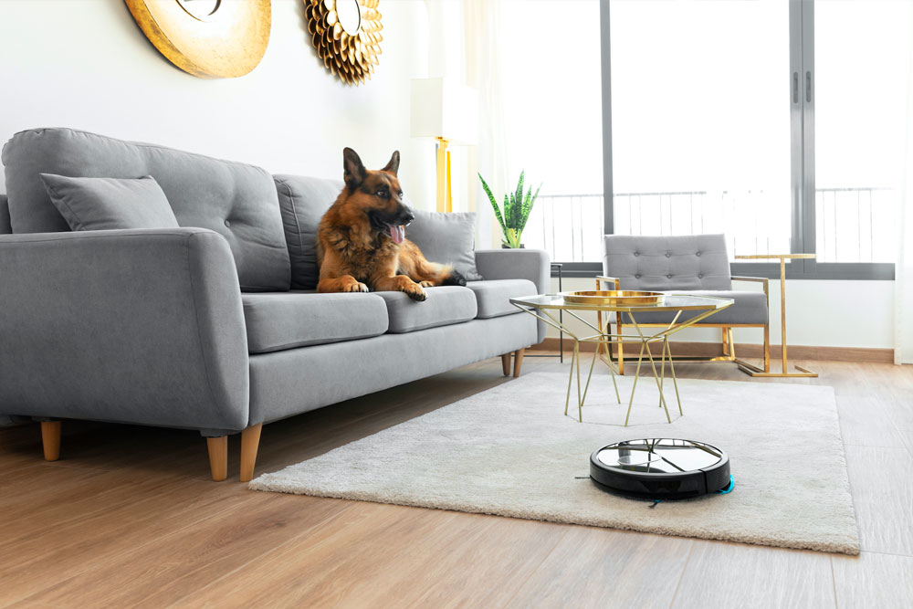 8 robots aspiradores perfectos para dueños de mascotas que quieren mantener  la casa limpia