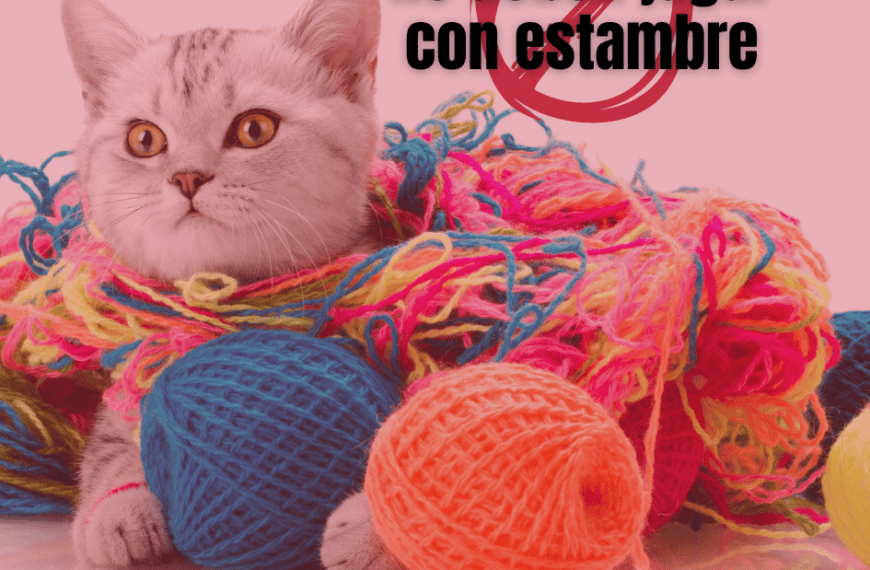¡Los gatos no deben jugar con estambre!