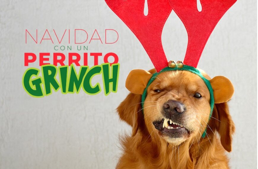 perro grinch