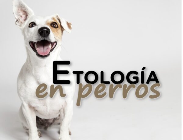 etologia en perros 1