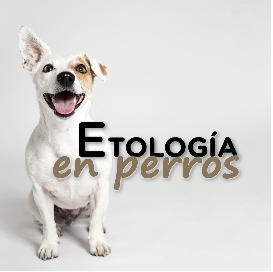etologia en perros 1