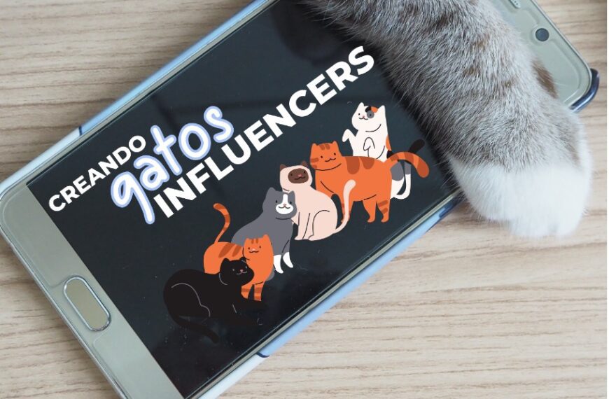Creando gatos influencers