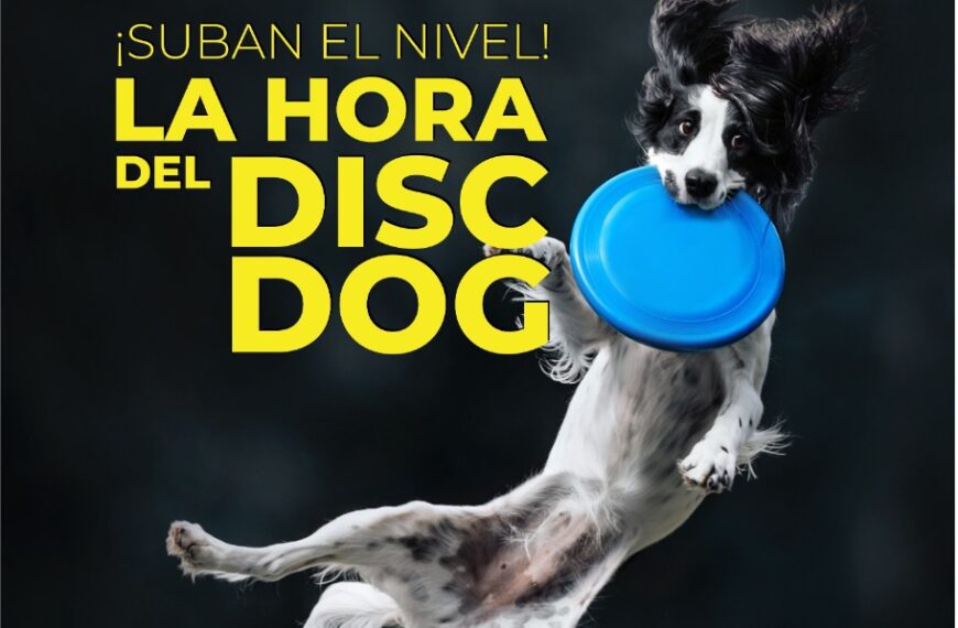 Hora de jugar Disc Dog