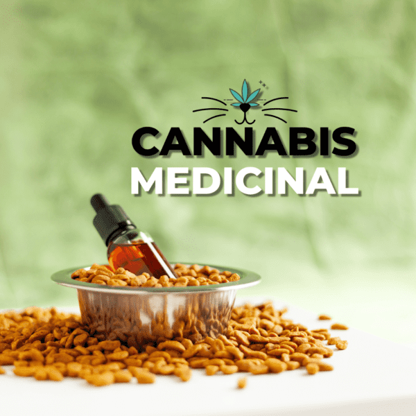 Cannabis Medicinal para gatos