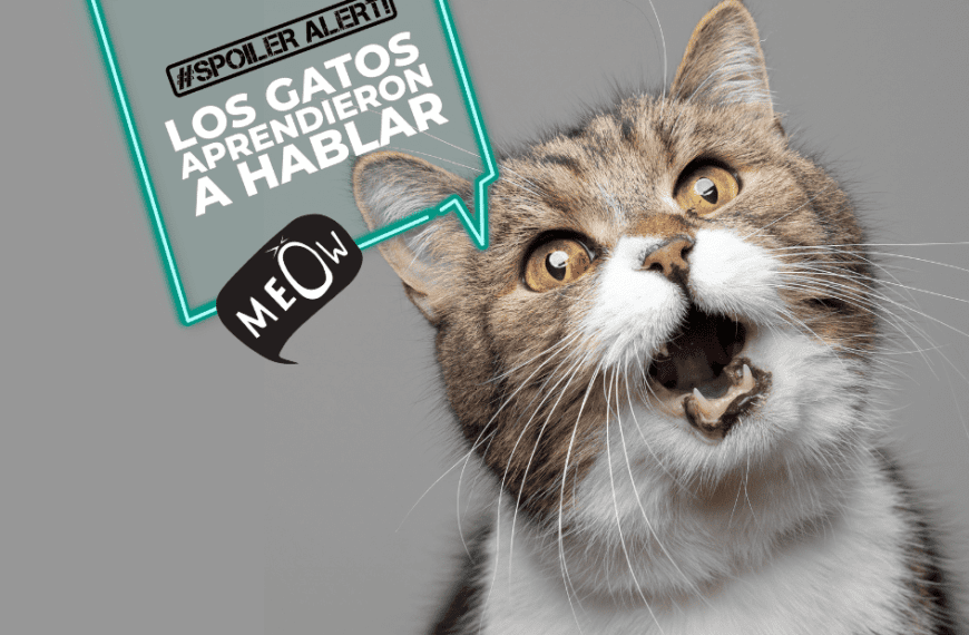 Catslife_Los.gatos.aprenden.a.hablar