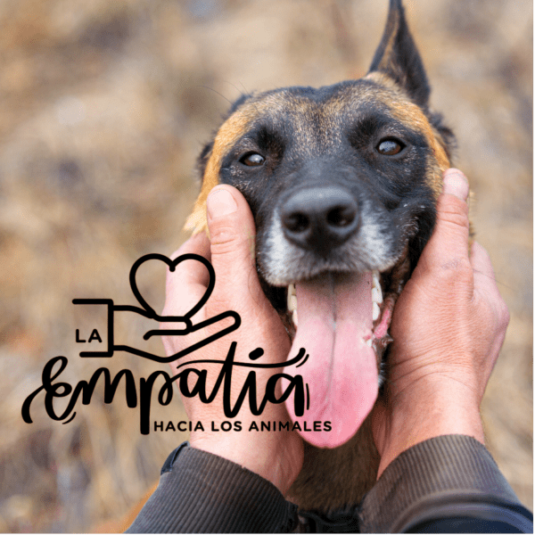 La Empatía hacia los animales