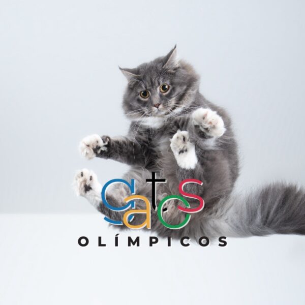 Gatos en los Juegos Olímpicos