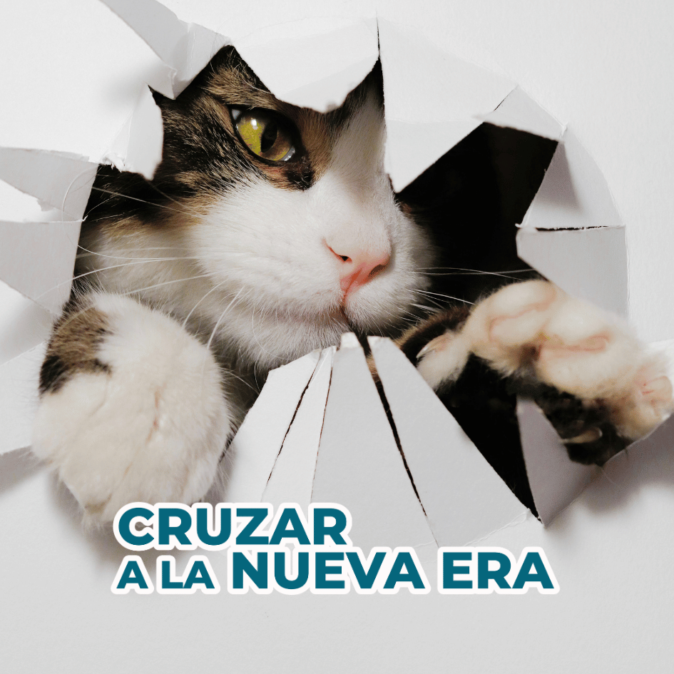 Catslife_Petslife_Editorial_Cruzar.a.la.nueva.era