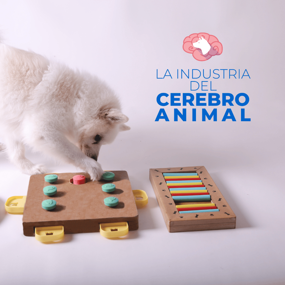 PetsLife_industria.del.cerebro.animal_neurologia.animal 1