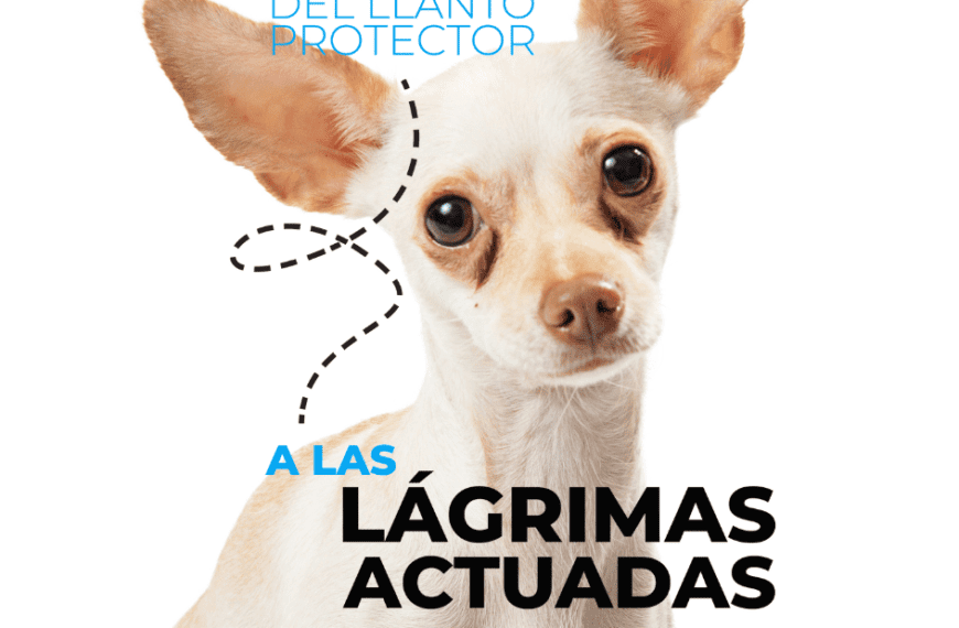 Petslife_salud.canina_lagrimas.de.perro_infeccion.ocular.en.perros_por.que.llora.mi.perro 1