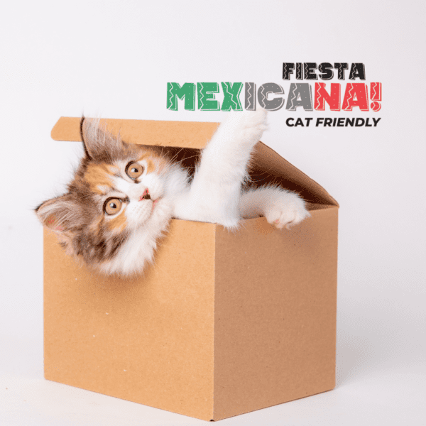 Fiesta Mexicana cat friendly: Protege a tus gatos del estrés.