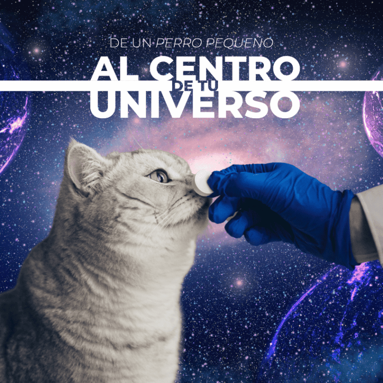 Dr. Jesús Marín: Pionero en la medicina para gatos en México