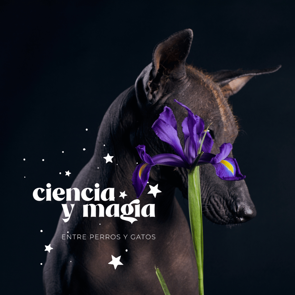 Perros y gatos: Ciencia y leyendas sobre su…