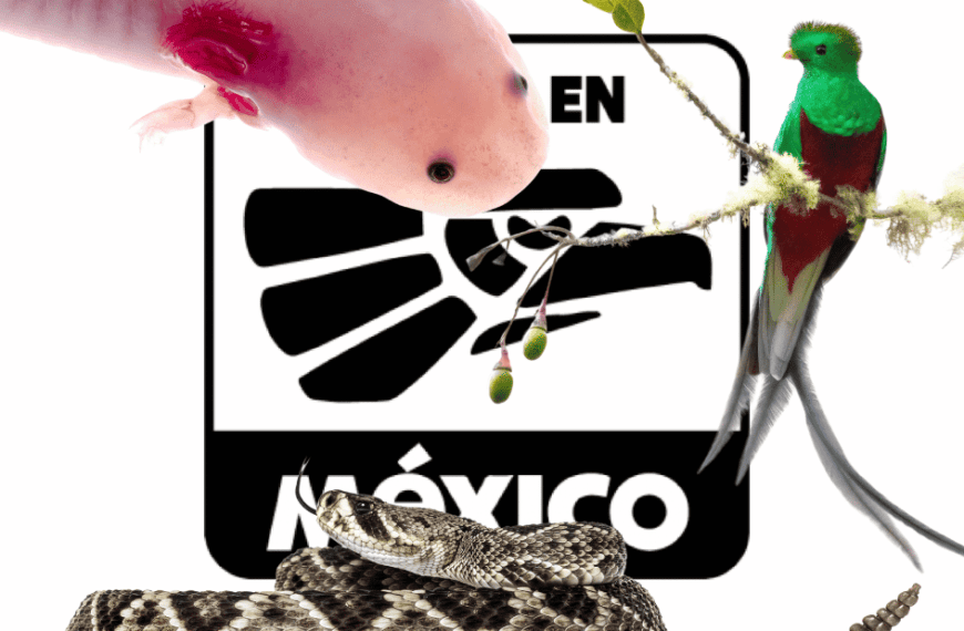 Cultura y animales en México: de la ciencia al misticismo