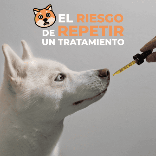 Petslife_perro_gato_repetir.tratamientos_peligro_automedicar.animales_cqvet