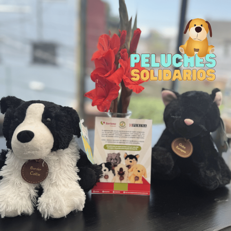 petslife_peluches.solidarios_soriana_purina_milagros.caninos_pets.friends.forever