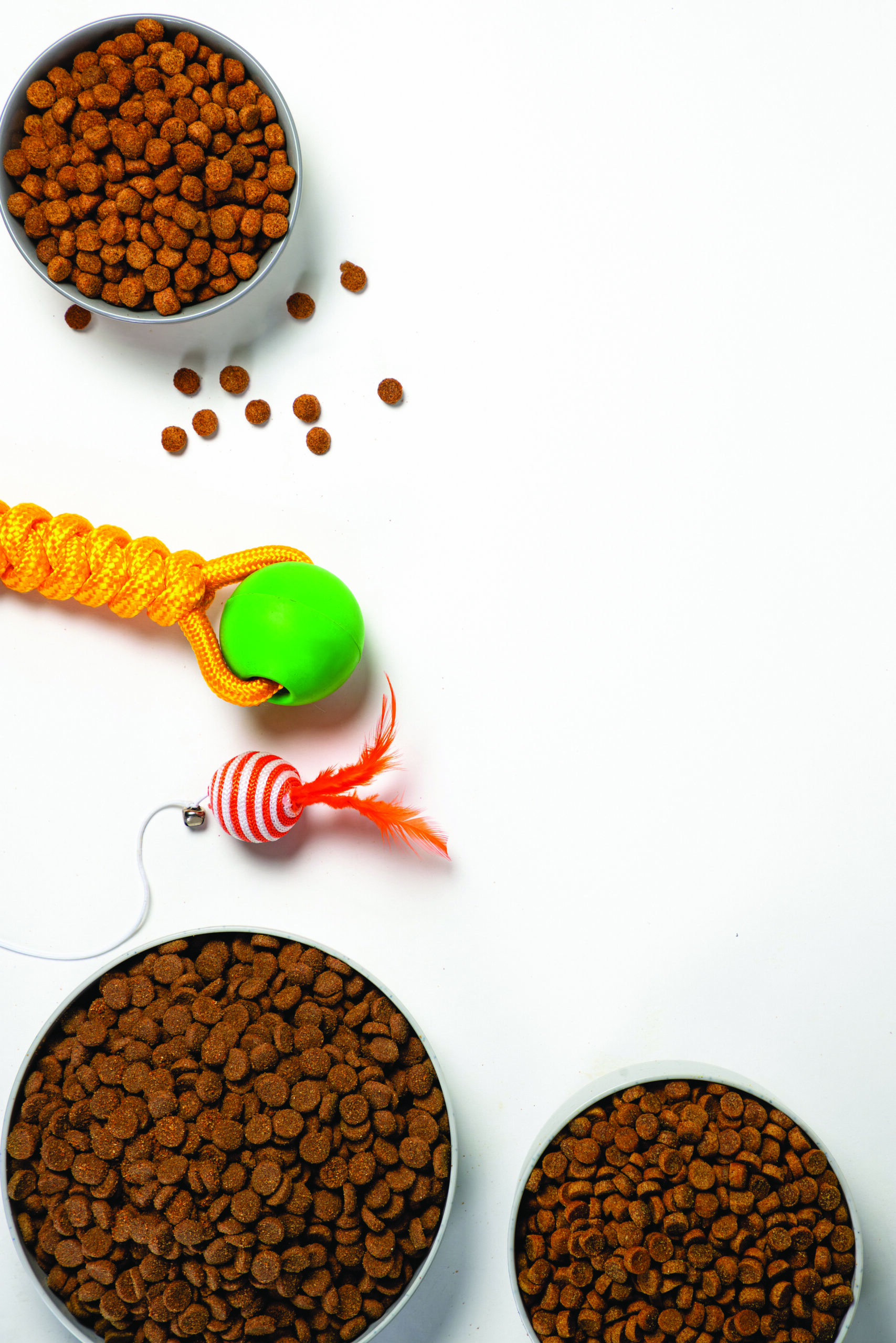 Humanización en alimentos para mascotas
