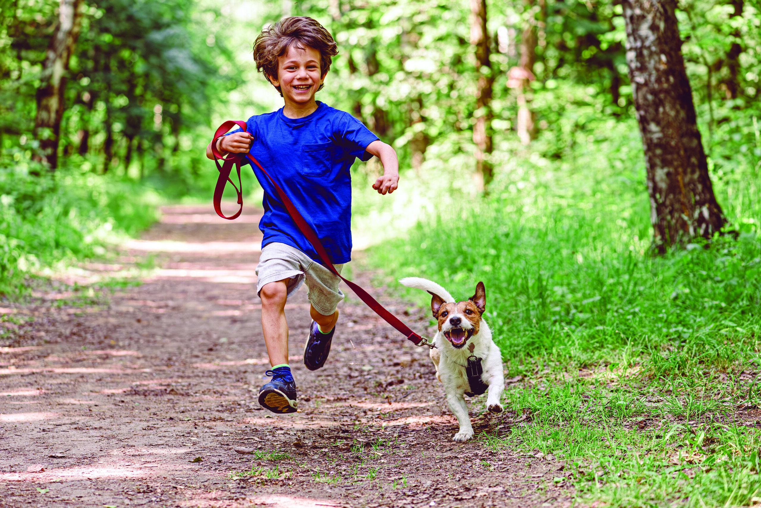 El perro y la salud mental de las…