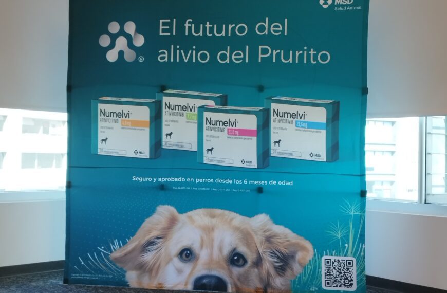 MSD estrena Numelvi, el medicamento para la dermatitis canina