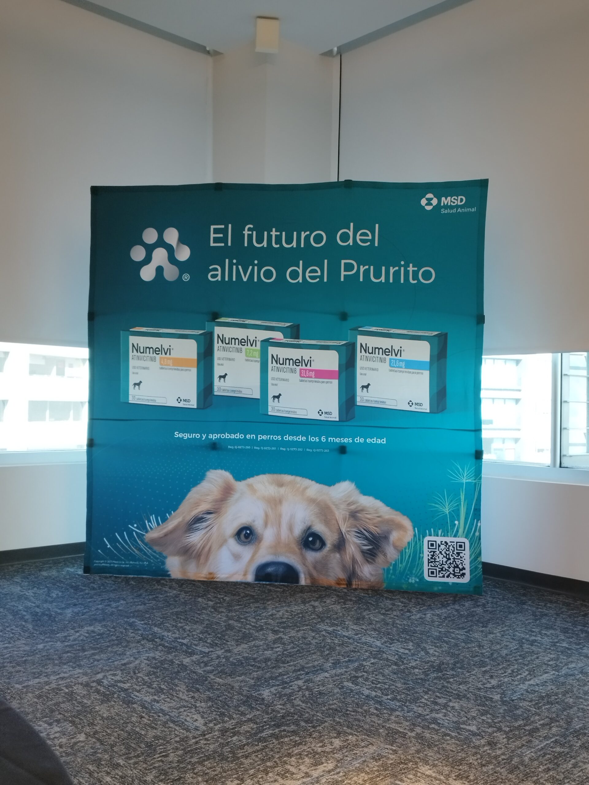 MSD estrena Numelvi, el medicamento para la dermatitis…