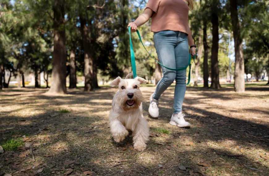 ¿Alergia a mascotas? Guía para convivir con perros y gatos sin renunciar a ellos