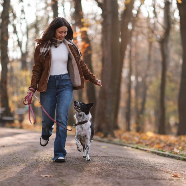 Luces, risas… ¿y ladridos? Las emociones de las mascotas después de diciembre