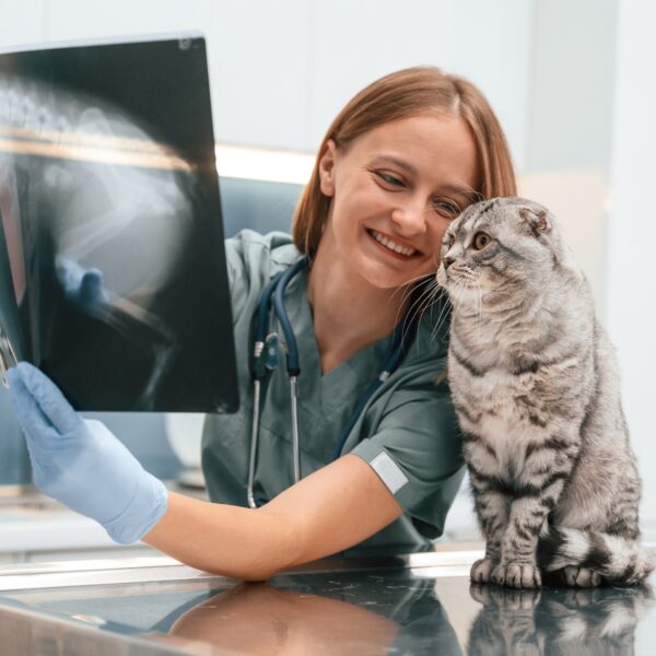 En honor a los médicos veterinarios