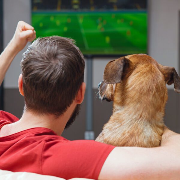 Cómo vivir la pasión del fútbol sin estresar a tu mejor amigo