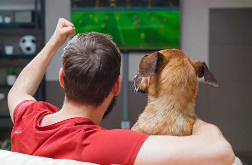 Cómo vivir la pasión del fútbol sin estresar a tu mejor amigo
