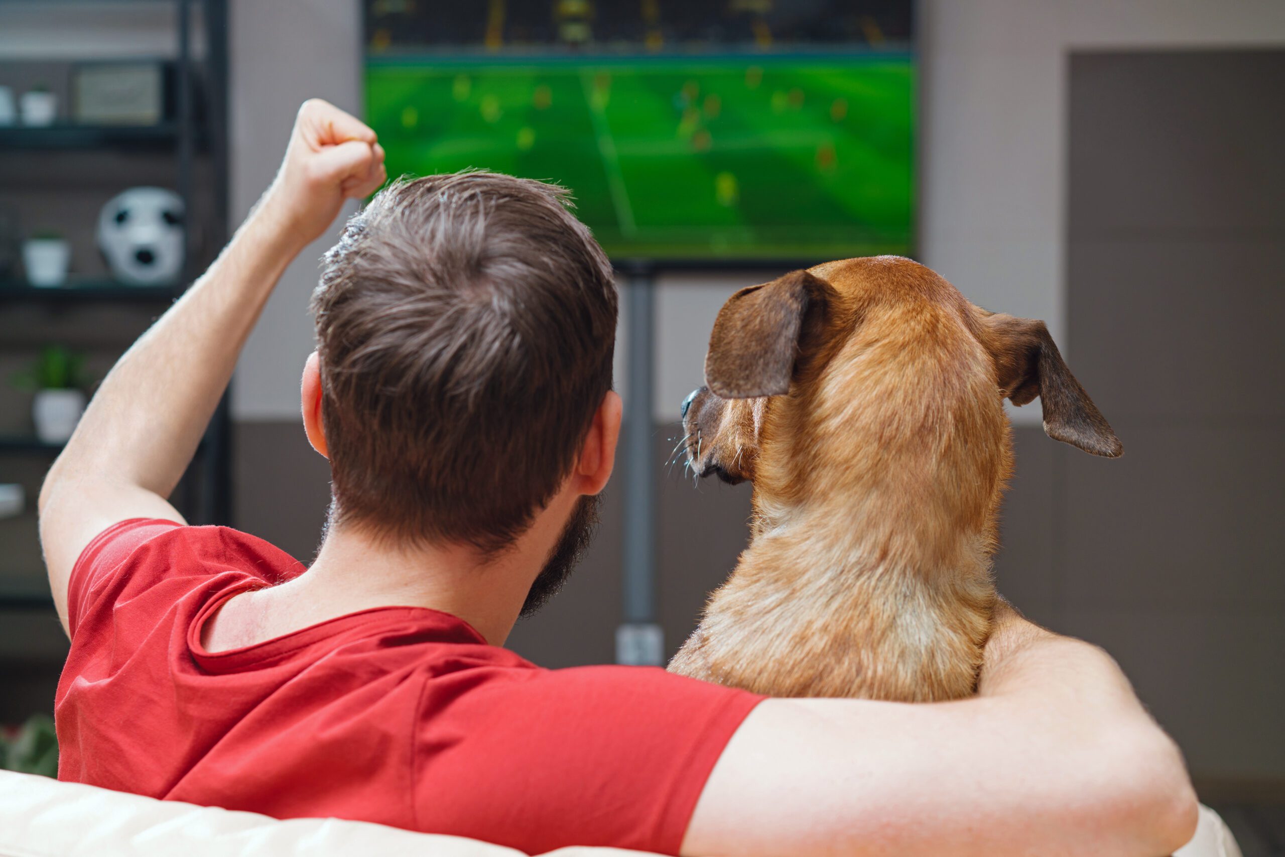 Cómo vivir la pasión del fútbol sin estresar…